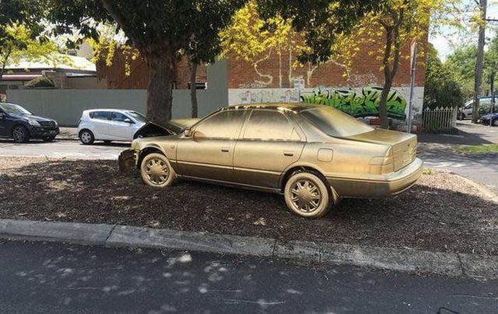 What Is Going On Here? (21 pics)