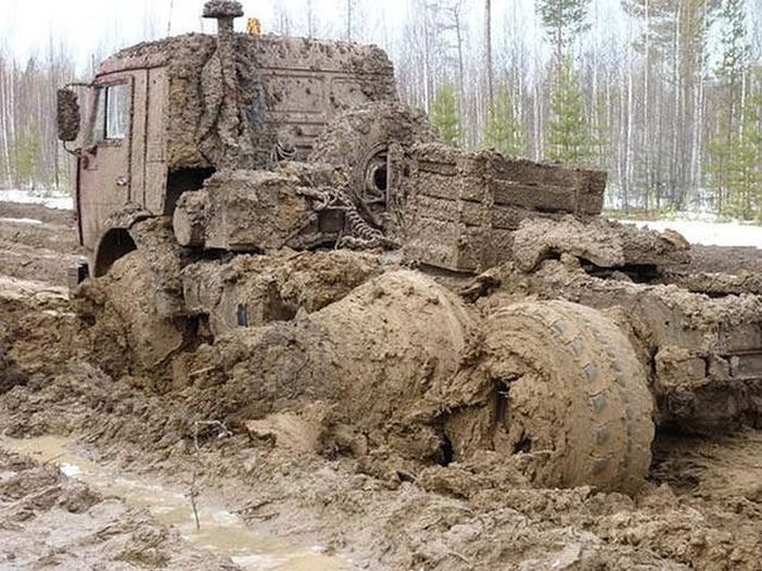 What Is Going On Here? (21 pics)