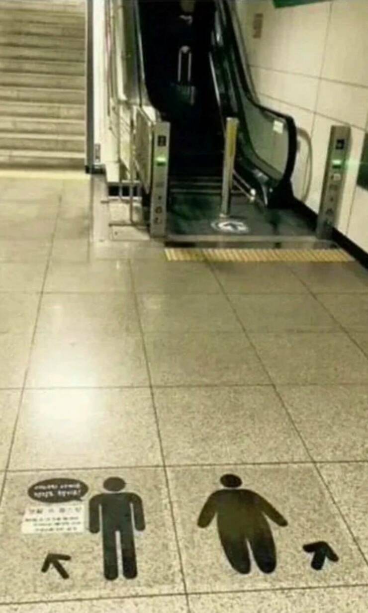 Daily Pictures. Part 1 (76 pics)
