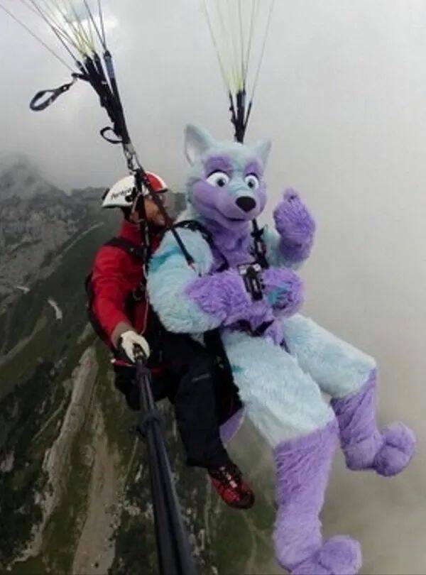 Daily Pictures. Part 1 (76 pics)