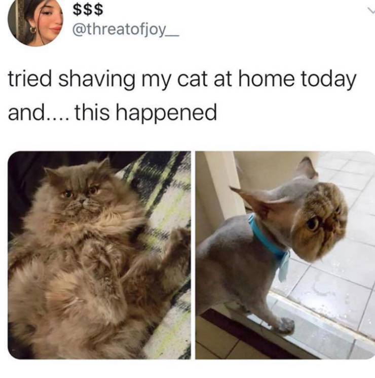 Daily Pictures. Part 2 (75 pics)