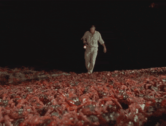 Acid GIFs, July 13 (25 gifs)