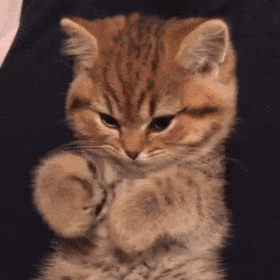 Acid GIFs, July 13 (25 gifs)