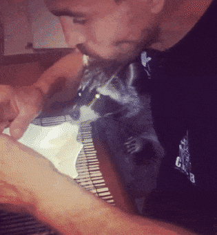 Acid GIFs, July 13 (25 gifs)