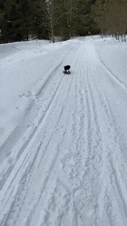 Acid GIFs, July 13 (25 gifs)