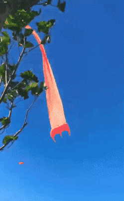 Acid GIFs, July 13 (25 gifs)