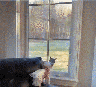 Acid GIFs, July 13 (25 gifs)