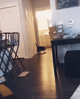 Acid GIFs, July 13 (25 gifs)