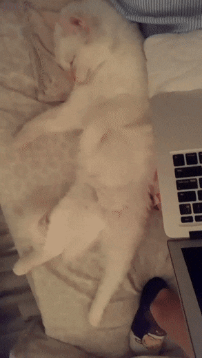 Acid GIFs, July 13 (25 gifs)