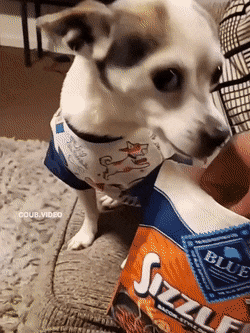 Acid GIFs, July 13 (25 gifs)