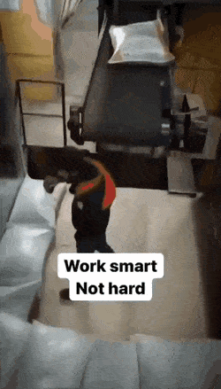 Acid GIFs, July 13 (25 gifs)