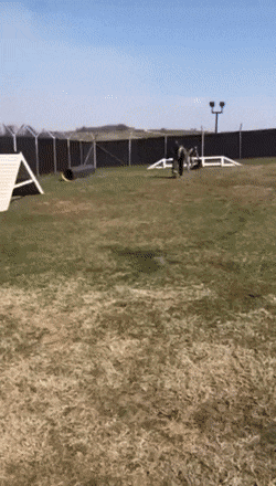 Acid GIFs, July 13 (25 gifs)