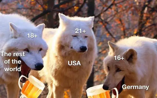 Beer Memes (25 pics) Beer Memes (25 pics)