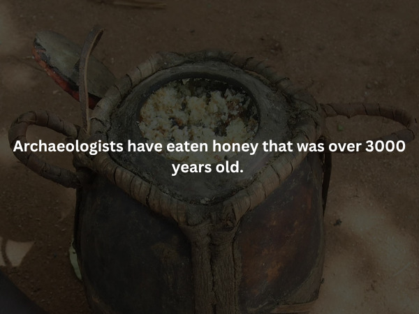 Creepy Facts (16 pics)