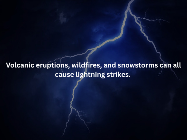 Creepy Facts (16 pics)