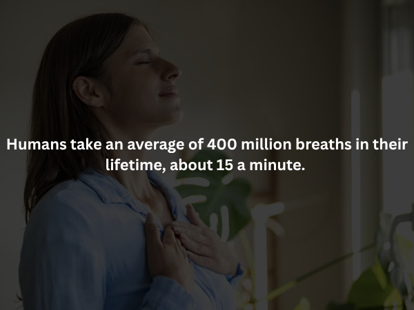 Creepy Facts (16 pics)