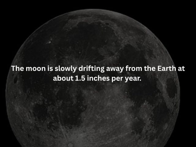 Creepy Facts (16 pics)