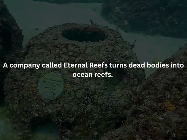 Creepy Facts (16 pics)