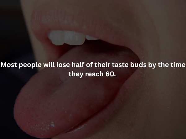 Creepy Facts (16 pics)
