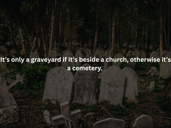 Creepy Facts (16 pics)