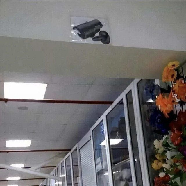 What Is Going On Here? 25 pics) What Is Going On Here? 25 pics)