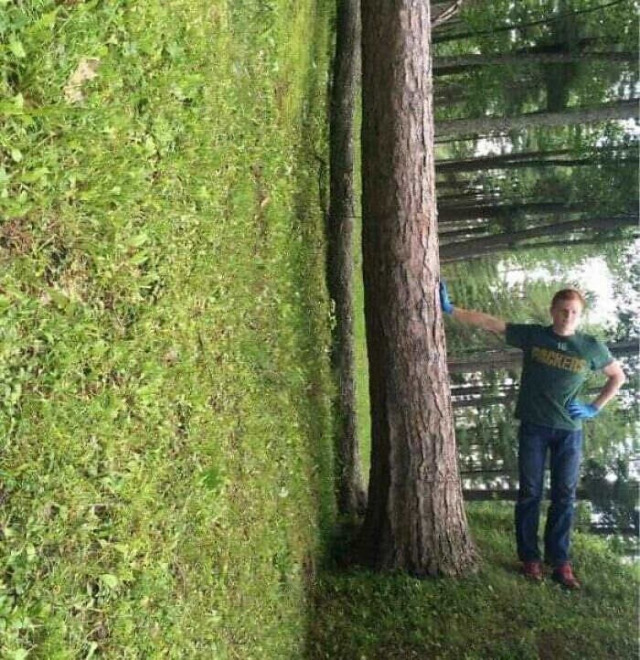 What Is Going On Here? 25 pics) What Is Going On Here? 25 pics)