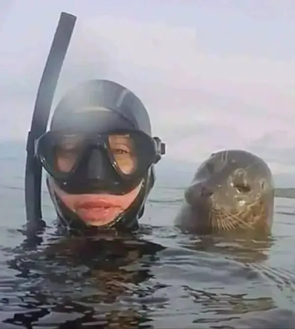 What Is Going On Here? 25 pics) What Is Going On Here? 25 pics)