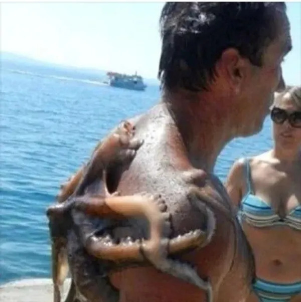 What Is Going On Here? 25 pics) What Is Going On Here? 25 pics)