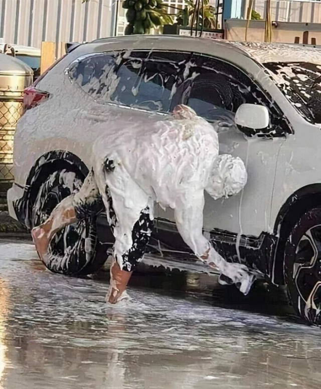 What Is Going On Here? 25 pics) What Is Going On Here? 25 pics)
