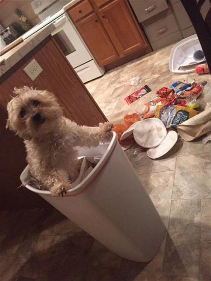 Bad Days Happen (23 pics)