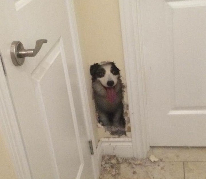 Bad Days Happen (23 pics)