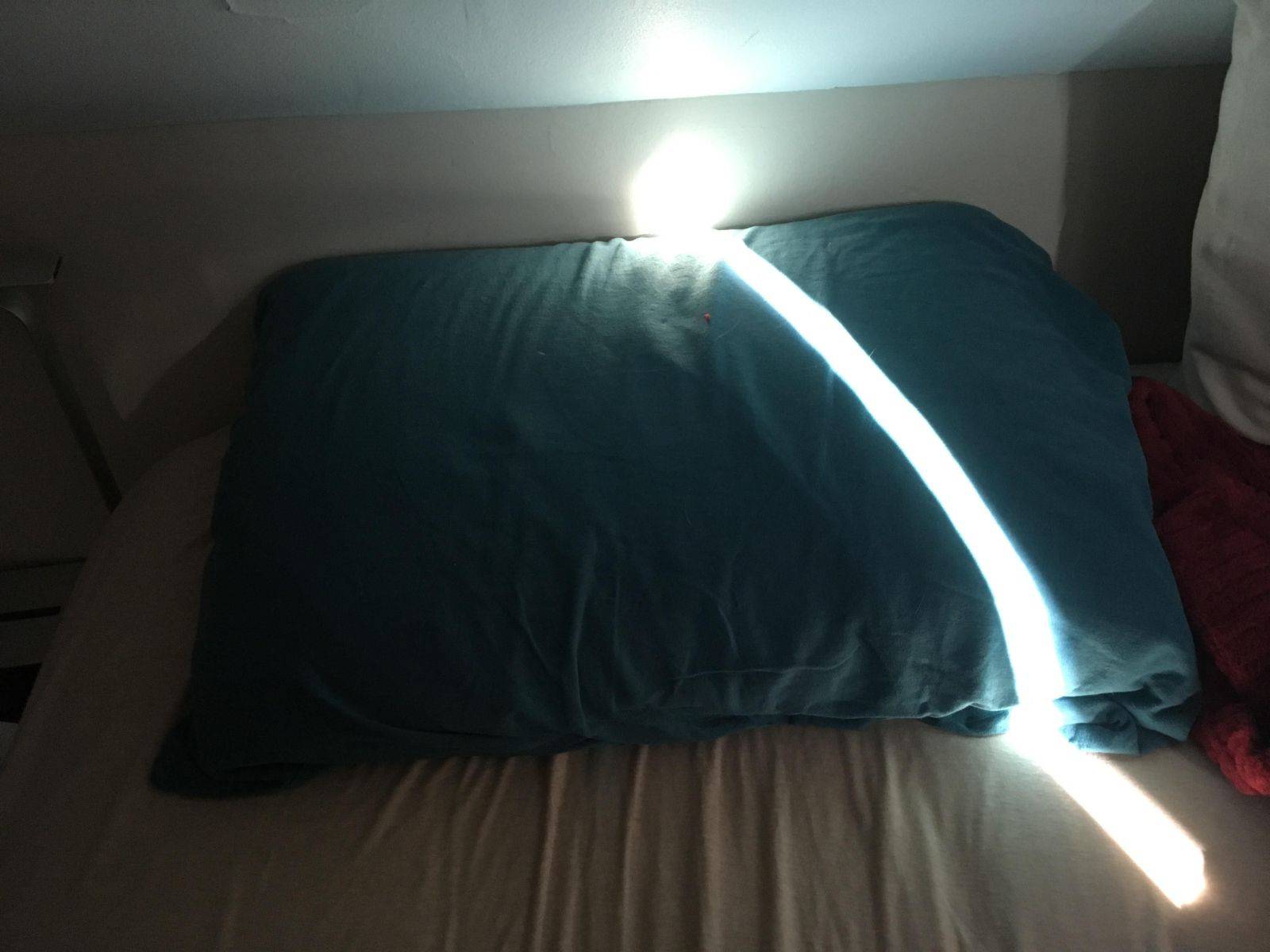 Daily Pictures. Part 1 (75 pics)
