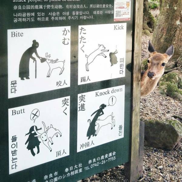 Daily Pictures. Part 2 (74 pics)