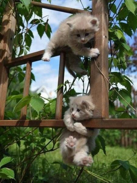Daily Pictures. Part 2 (74 pics)