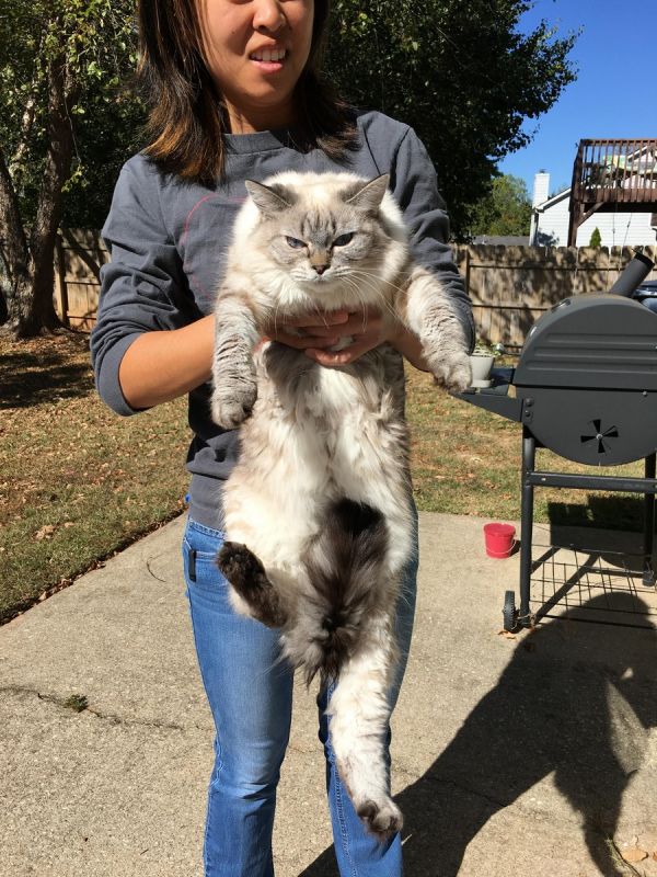 Daily Pictures. Part 2 (74 pics)