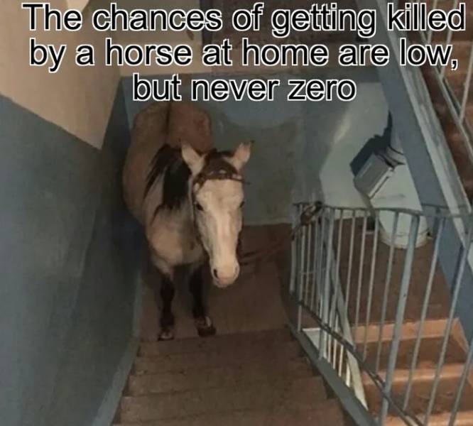 Daily Pictures. Part 2 (74 pics)