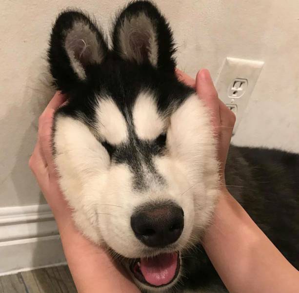Daily Pictures. Part 2 (74 pics)