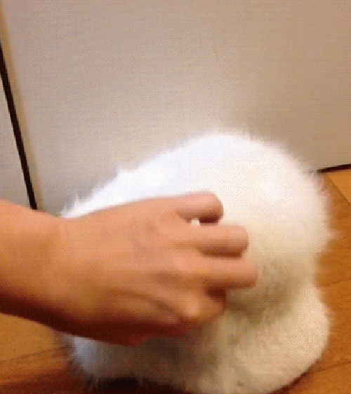Acid GIFs, July 14 (25 gifs)