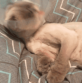 Acid GIFs, July 14 (25 gifs)