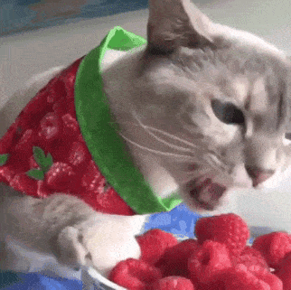 Acid GIFs, July 14 (25 gifs)