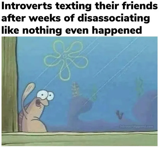 Memes For Introverts (21 pics)