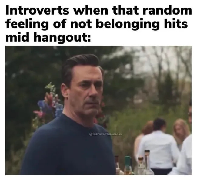 Memes For Introverts (21 pics)