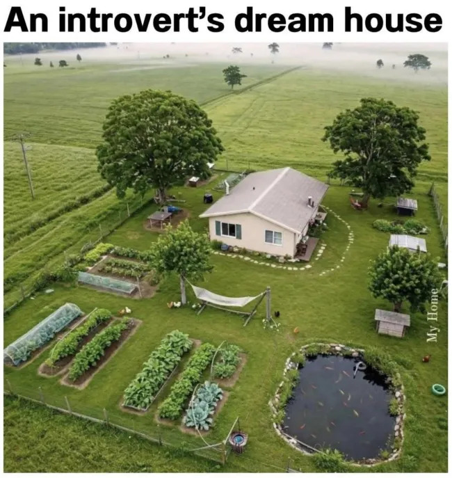 Memes For Introverts (21 pics)