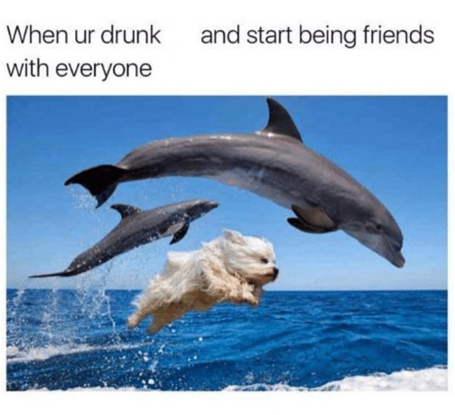 Funny Memes (26 pics)