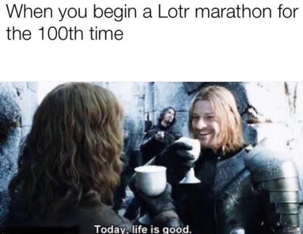 Memes For ''The Lord Of The Rings'' Fans (25 pics)
