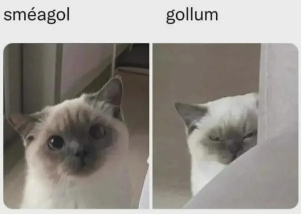 Memes For ''The Lord Of The Rings'' Fans (25 pics)