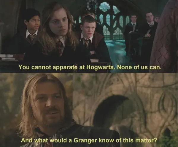 Memes For ''The Lord Of The Rings'' Fans (25 pics)