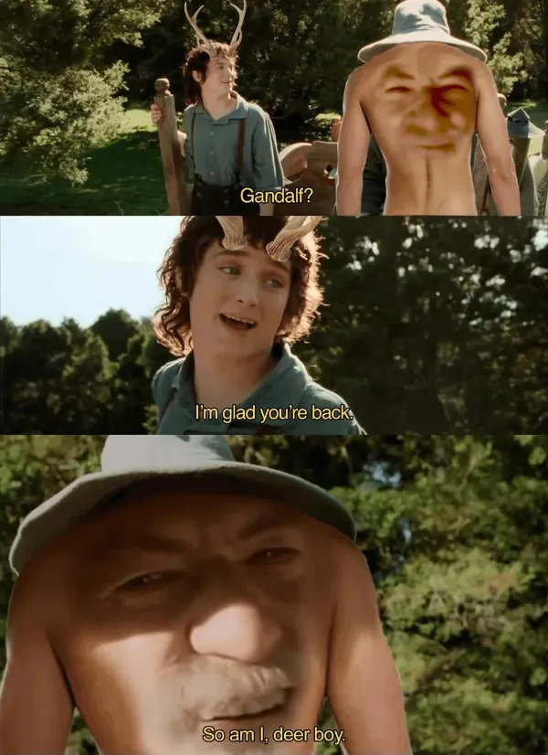 Memes For ''The Lord Of The Rings'' Fans (25 pics)