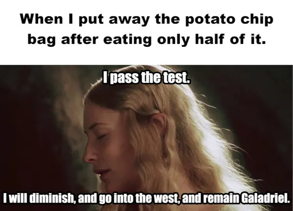 Memes For ''The Lord Of The Rings'' Fans (25 pics)
