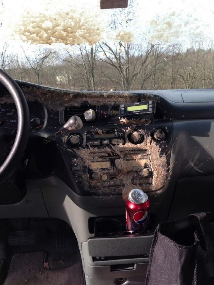 Unfortunate Situations (21 pics)